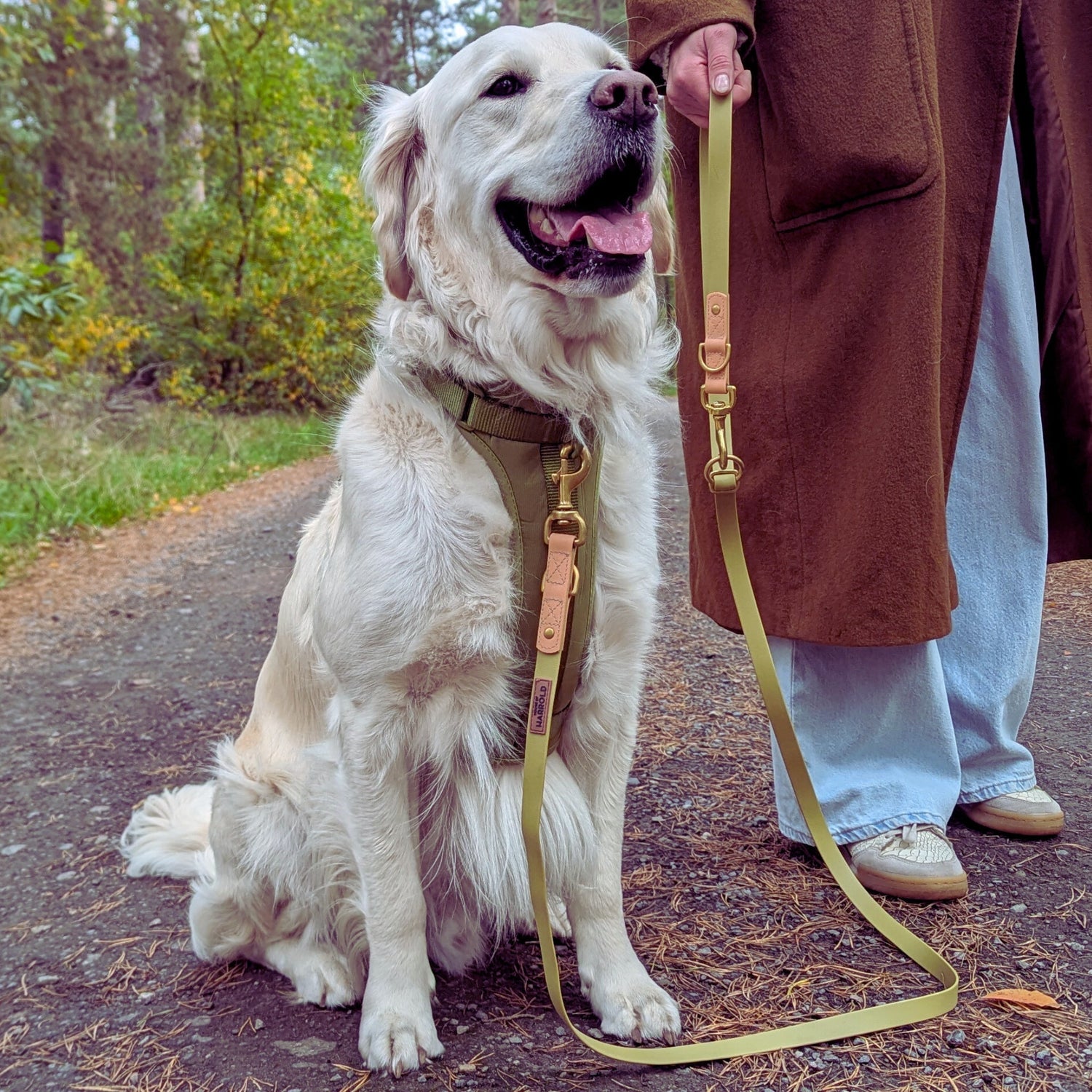 ComfortFit Anti-Pull Harness