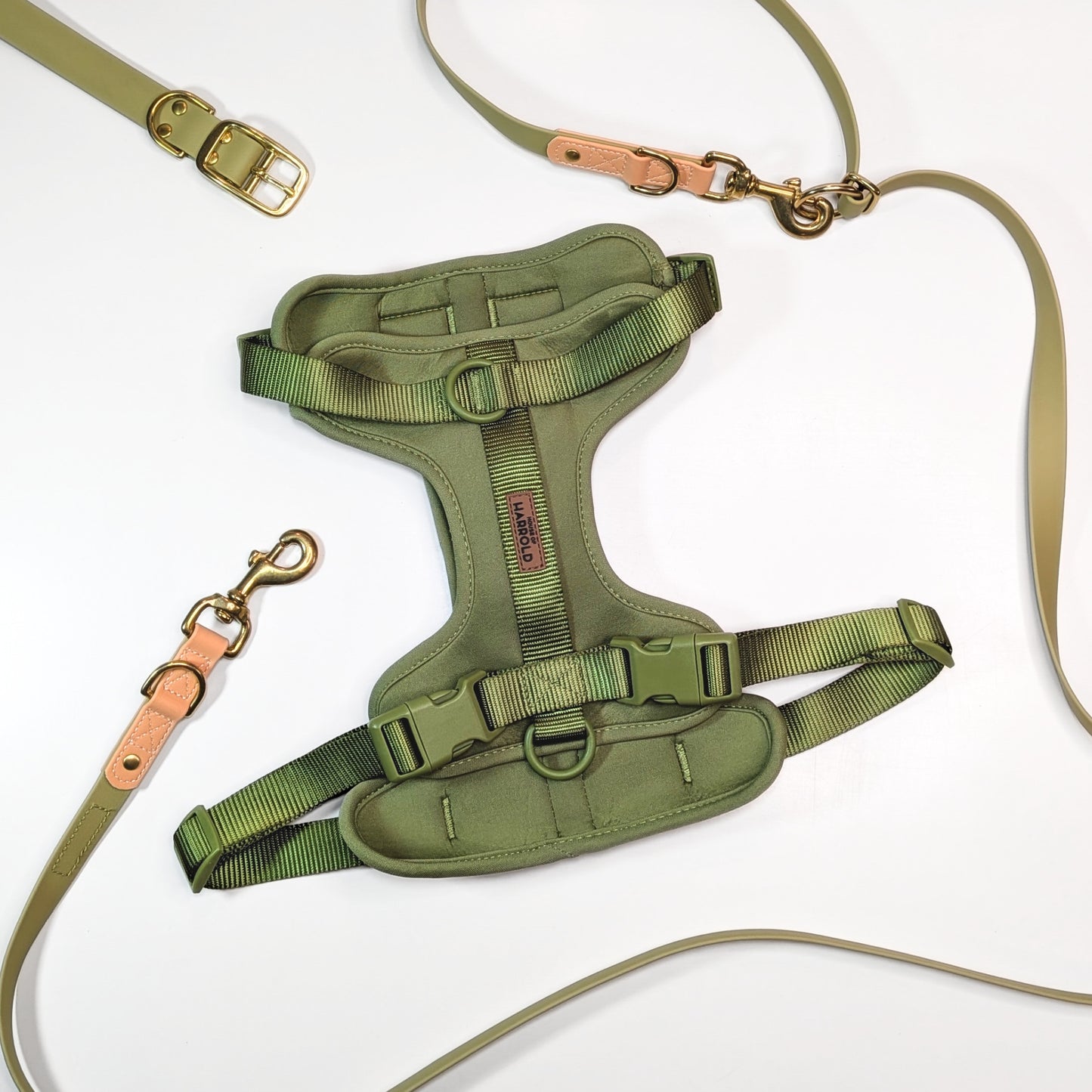 Premium Walk Set | Dog Harness, Leash & Collar - Green with brass hardware and tan leather accents on white background