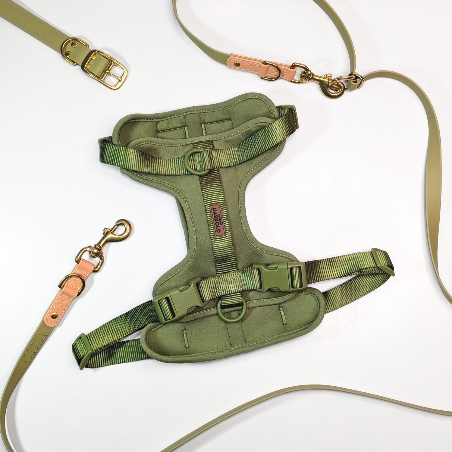 Premium Walk Set | Dog Harness, Leash & Collar - Green with brass hardware and tan leather accents on white background