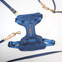 Premium Walk Set | Dog Harness, Leash & Collar - Blue - S