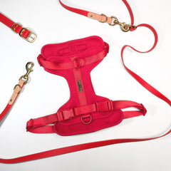 Premium Walk Set | Dog Harness, Leash & Collar - Red - S