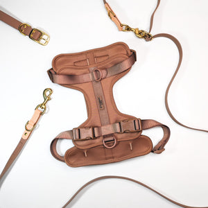 Premium Walk Set | Dog Harness, Leash & Collar - Brown with gold-tone hardware and adjustable straps on white background