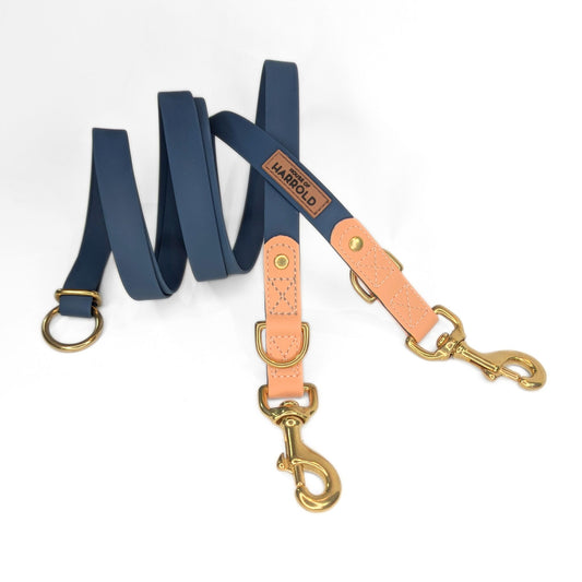 BayBond Adjustable Multi-Way Leash - Blue