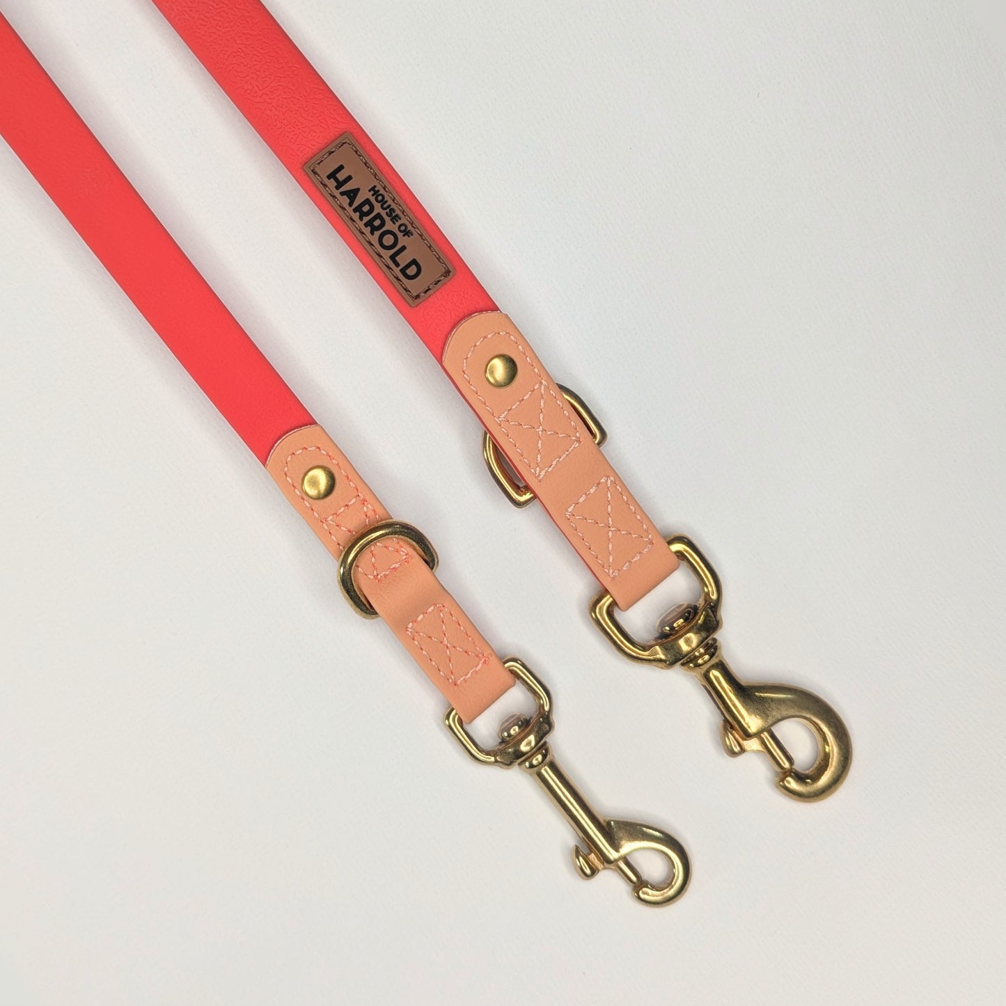 Dog leash with red and saddle brown sections and brass hardware on a light grey background