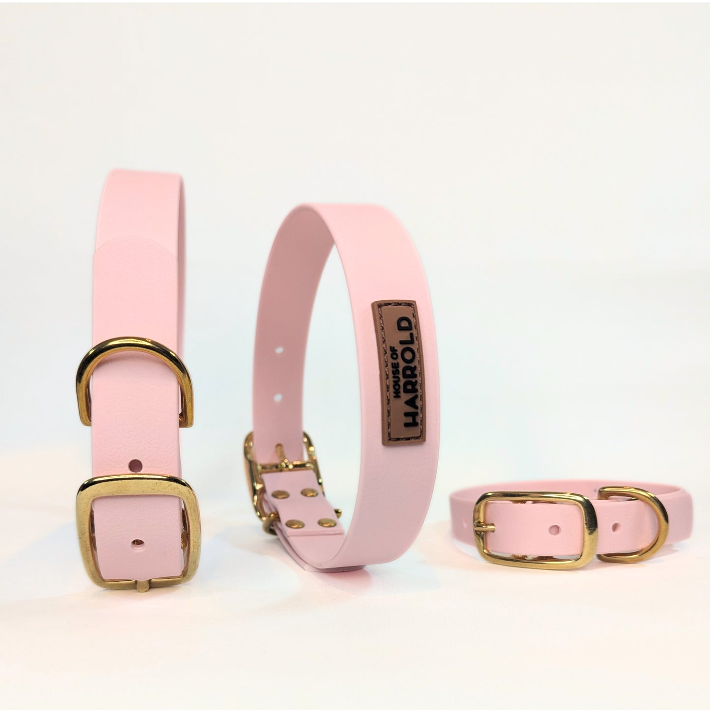 Set of pink dog collars with brass hardware on a white background