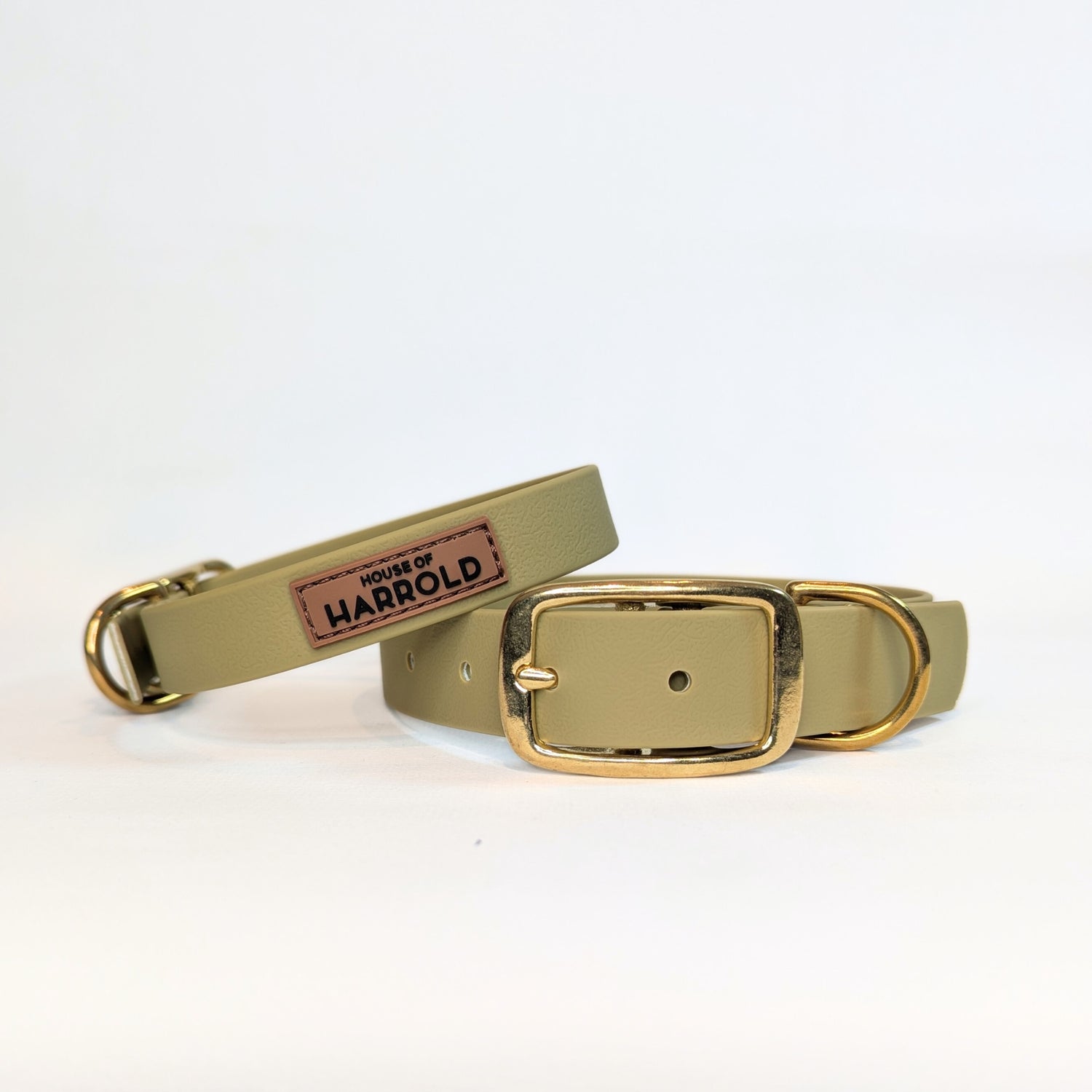Green Waterproof Vegan PVC Dog Collar With Brass Hardware on a white background