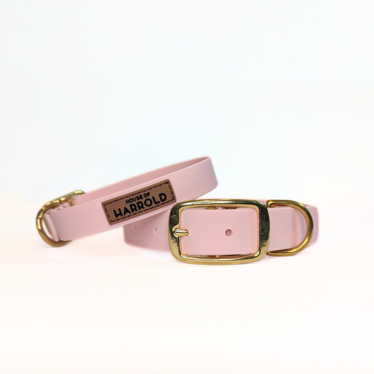 Pink waterproof dog collar with gold buckle on a white background