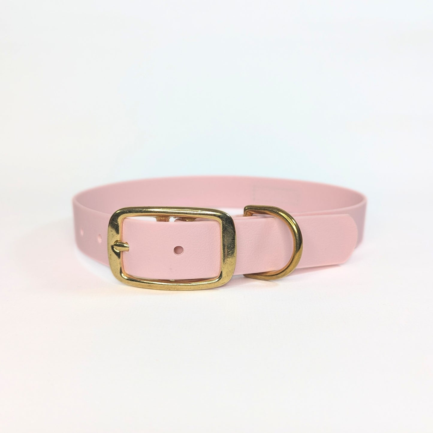 Pink vegan dog collar with a brass buckle on a white background