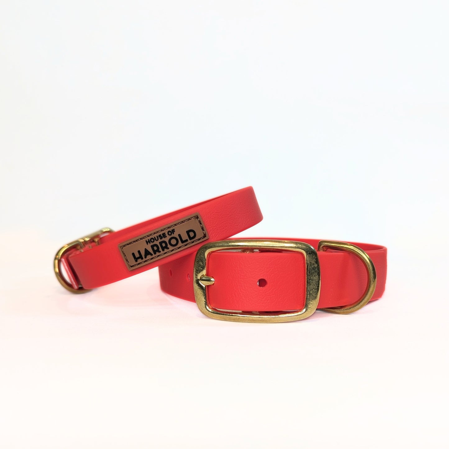 Red dog collar with brass buckle and 'House of Harrold' label on a white background