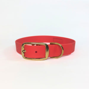 Red vegan dog collar with a brass buckle on a white background