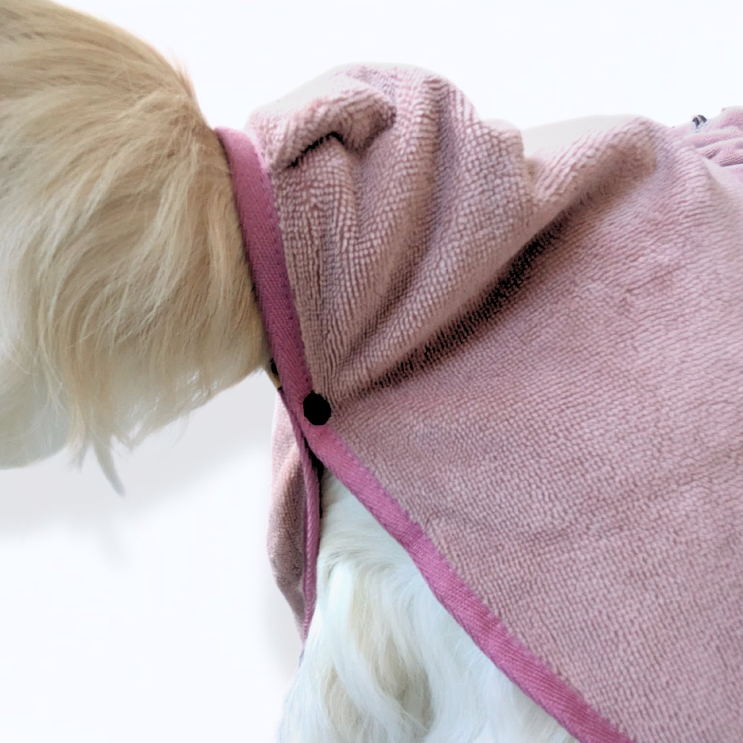 Small dog wearing CloudSoft Bamboo Dry Robe - Rose with soft textured fabric and pink trim on white background