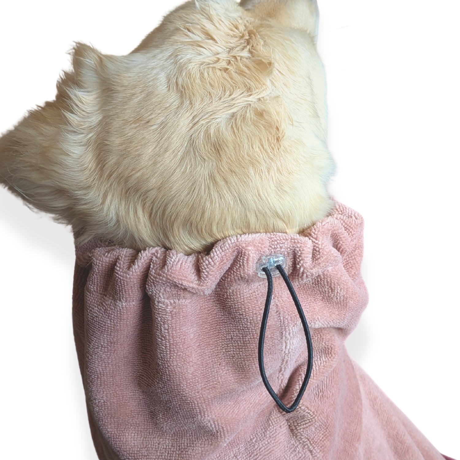 Light-colored dog wearing CloudSoft Bamboo Dry Robe - Rose with adjustable hood and soft plush fabric visible from back angle