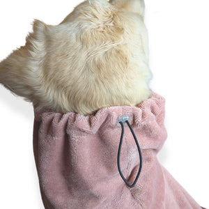 Light-colored dog wearing CloudSoft Bamboo Dry Robe - Rose with adjustable hood and soft plush fabric visible from back angle