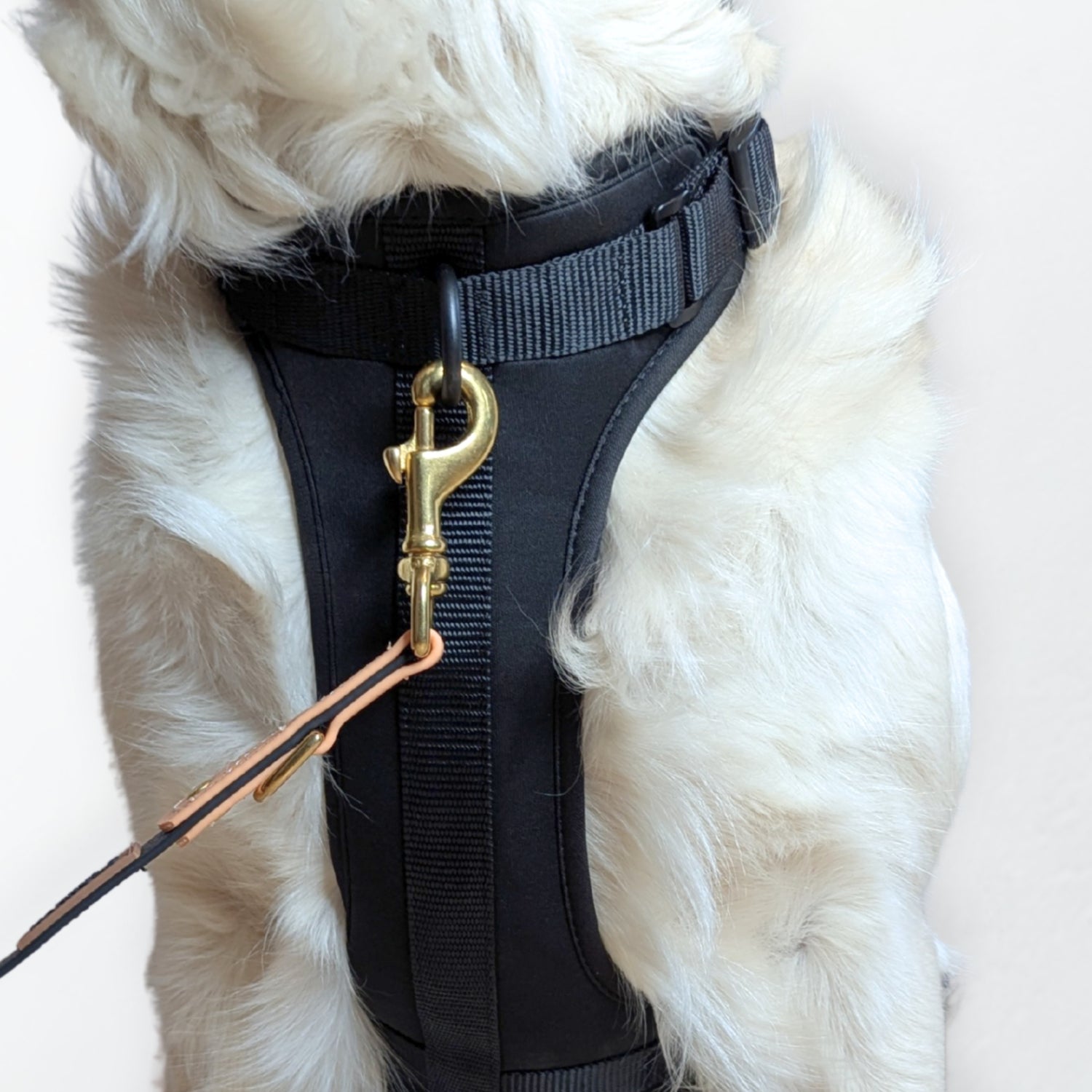 ComfortFit No-Pull Harness - Black with soft neoprene, brass hardware, anti-pull design by House of Harrold for effortless dog control