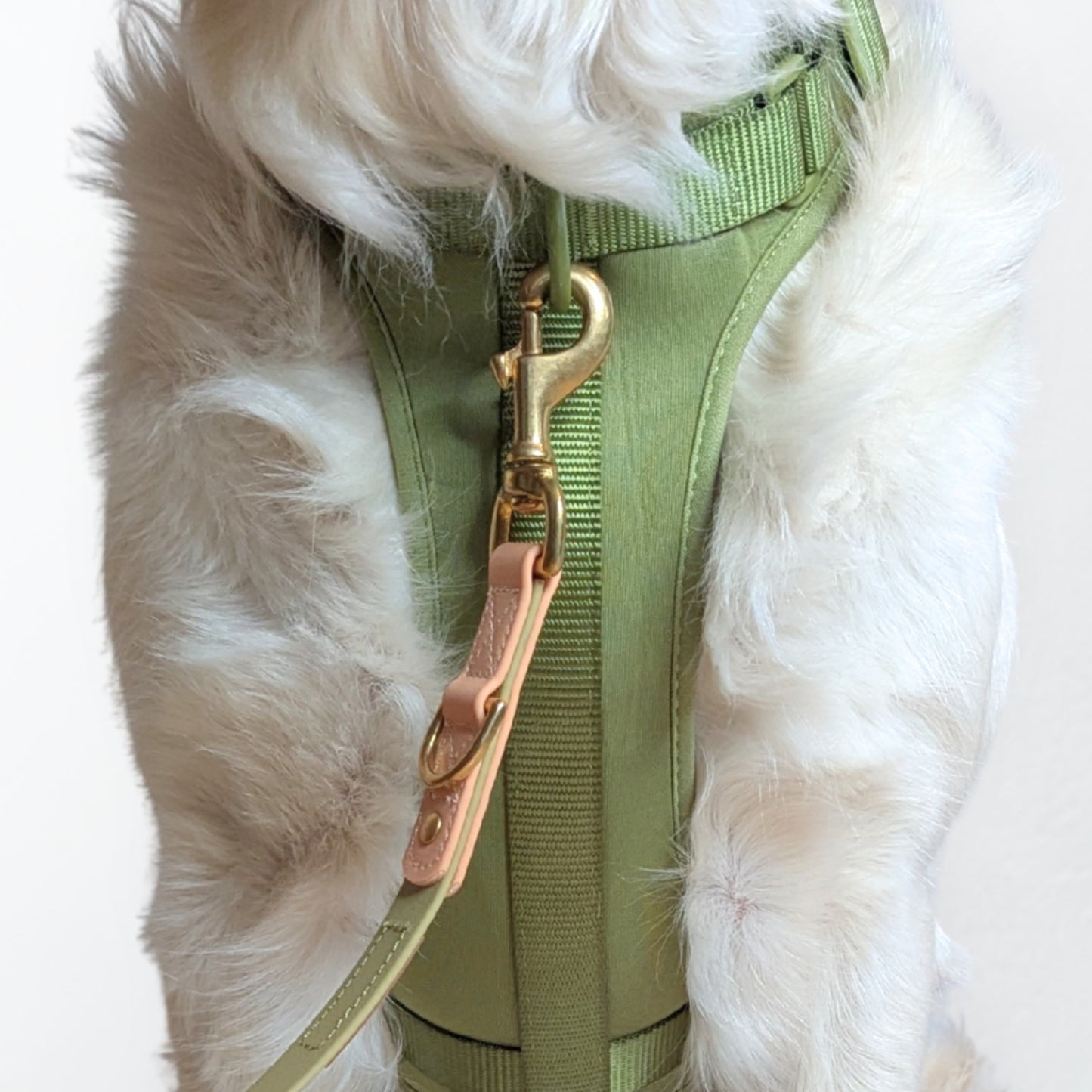 ComfortFit No-Pull Harness - Green with premium neoprene, brass hardware, and anti-pull tech by House of Harrold for lasting dog control