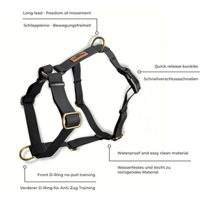 LoomLite No-Pull Waterproof Harness - Black with brass fittings, waterproof durable material, and anti-pull design by House of Harrold