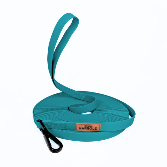 LoomLite Training Long Leash - 15m - Teal