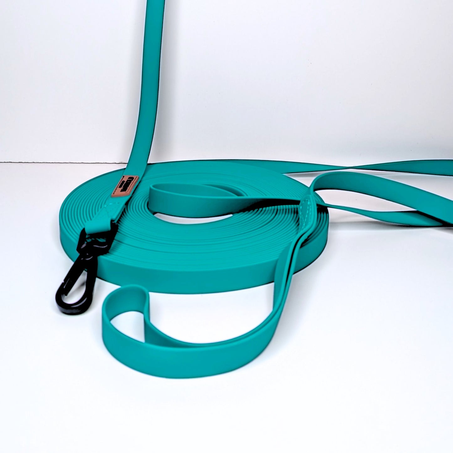 LoomLite Training Long Leash - 15m - Teal Featured Image