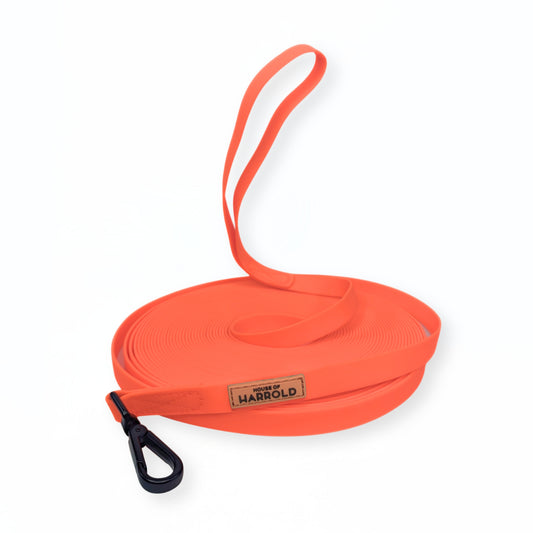 LoomLite Training Long Leash - 15m - Orange