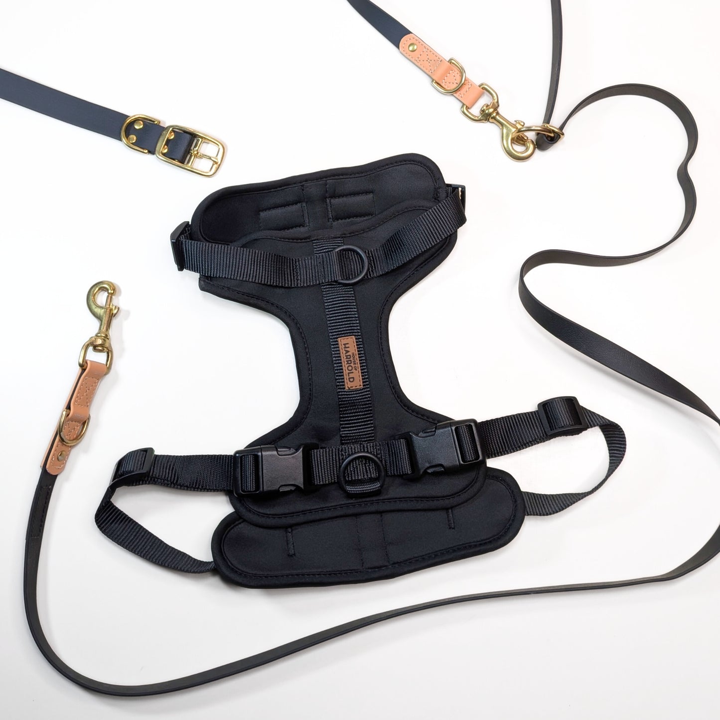 Premium Walk Set | Dog Harness, Leash & Collar - Black with gold hardware and leather accents on white background