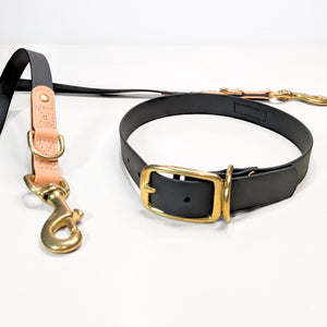 Premium Walk Set | Dog Harness, Leash & Collar - Black with gold-toned hardware and tan leather accents on white background