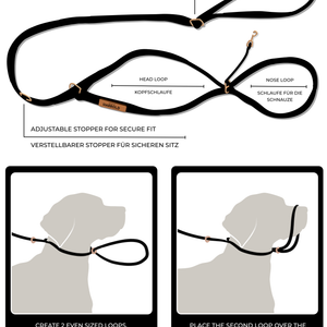 NoStorm Anti-Pull Leash with high quality material, brass hardware, adjustable stopper, and anti-pull technology by House of Harrold